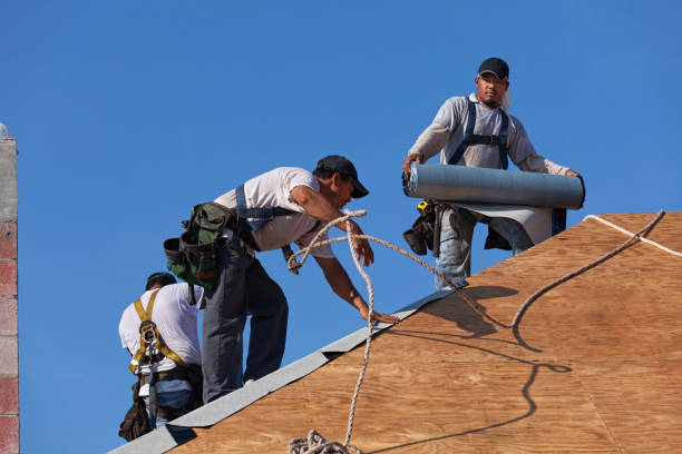 Best Heating Cable for Roof Installation  in Clio, MI
