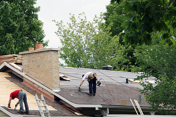 Best Metal Roofing Contractor  in Clio, MI