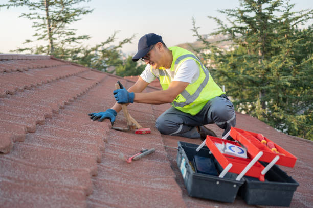 Best Slate Roofing Contractor  in Clio, MI