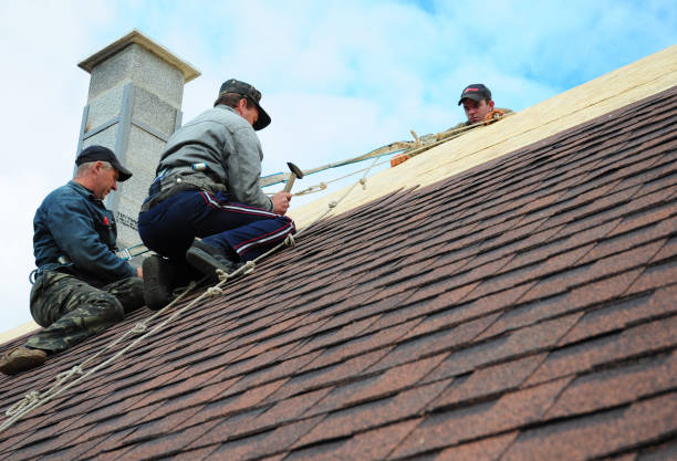 Best Tile Roofing Contractor  in Clio, MI