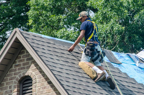 Best Emergency Roof Repair  in Clio, MI