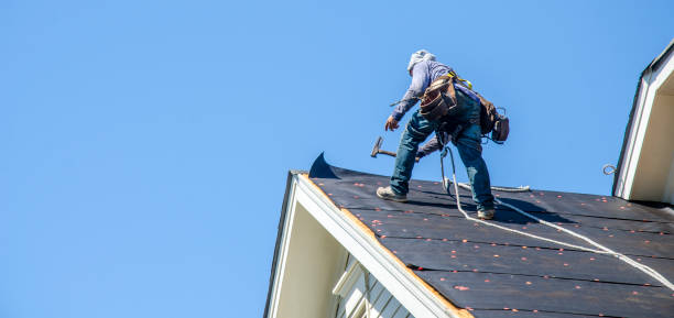 Best New Roof Installation  in Clio, MI